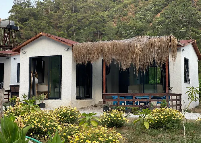 Zirkon Valley Boutique *